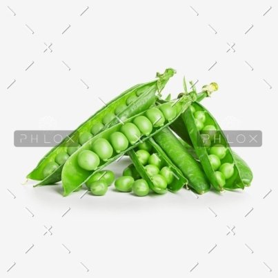 demo-attachment-146-Group-8058